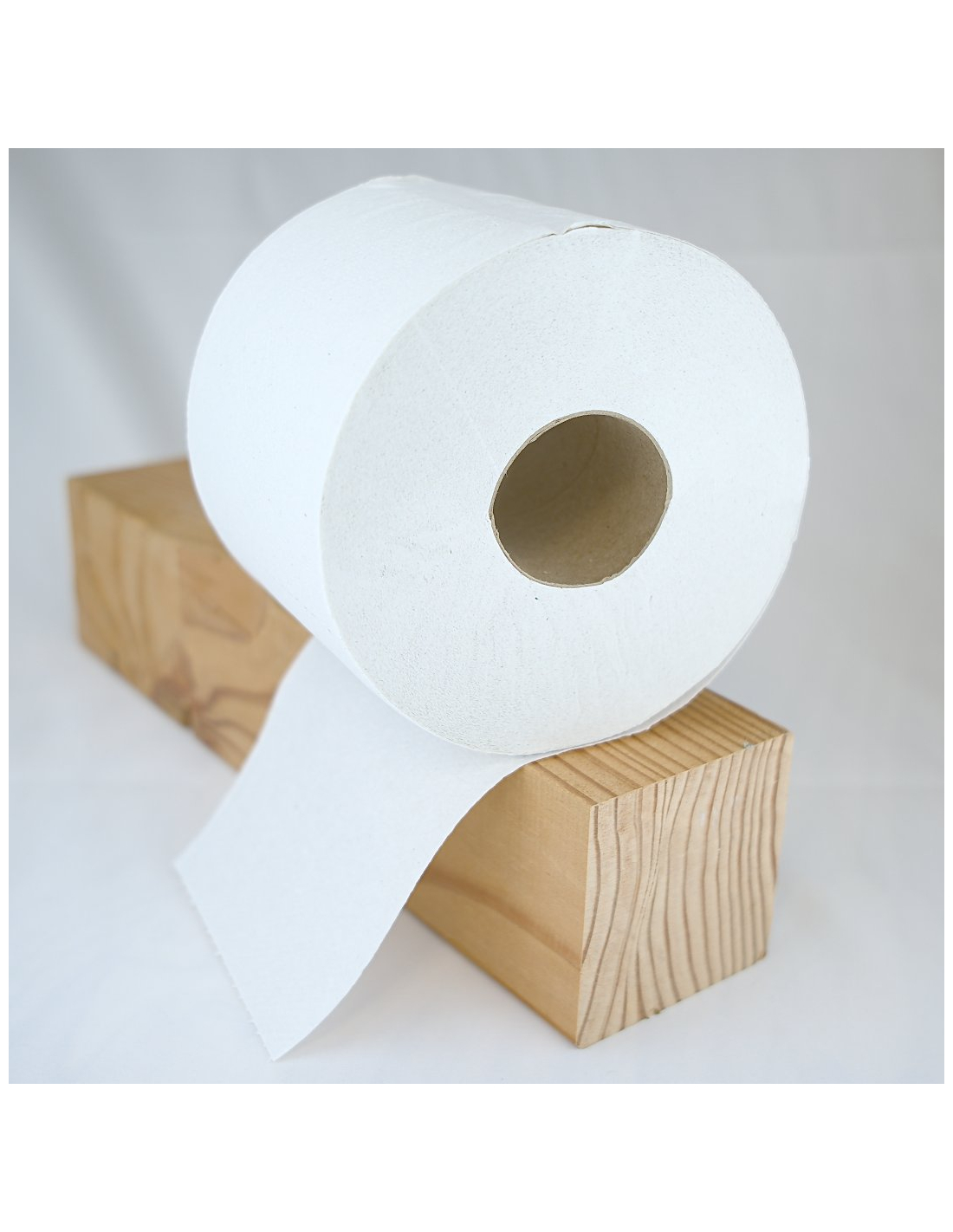 Recyclez vos rouleaux de papier toilette en voitures de courses !