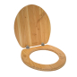 Douglas toilet seat assembly